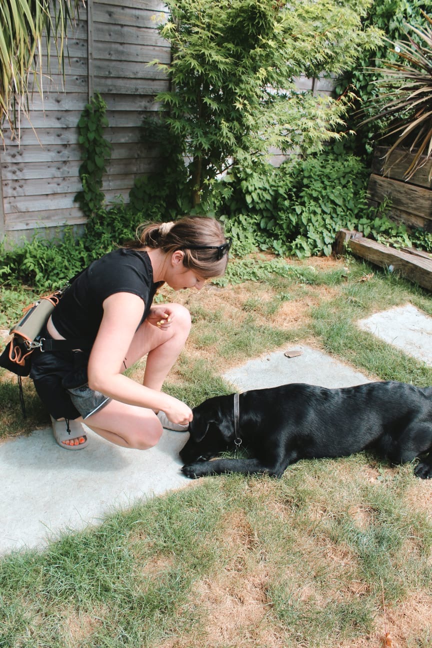 Why scatter feeding is more than just throwing food on the ground