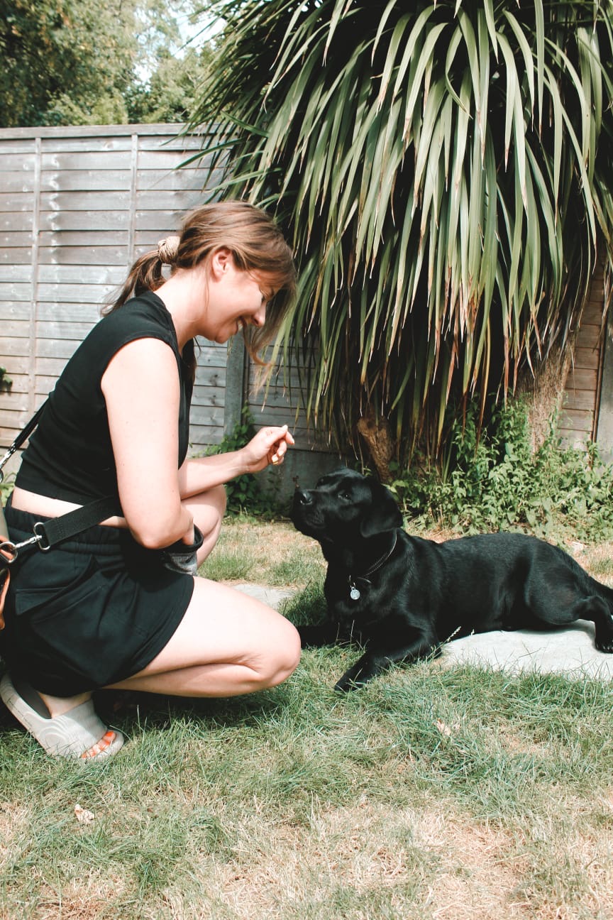 The clearest sign your dog wants to train